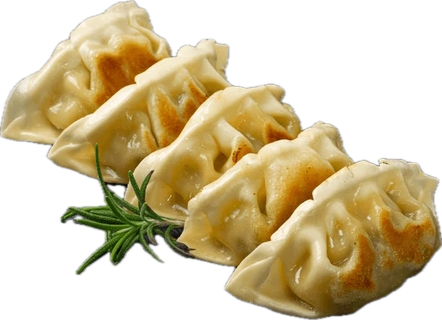 Gyoza